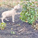 ���� �������, ������, 38 ��� - ��������� 20 ������� 2026