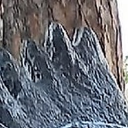 ������, ������������, 52 ����