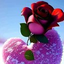 ���� ��������, ������, 33 ���� - ��������� 25 ������� 2023