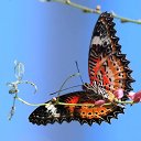 ���� ��������, ������, 70 ��� - ��������� 3 ������ 2024 � ������ ������ ��������