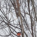 ���� �������, ������ - ��������� 2 ������� 2026 � ������ ������ ��������