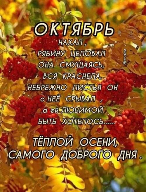 Всё будет хорошо! - 28 октября 2025 в 11:11