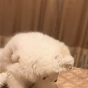 ���� ���, �����, 25 ��� - ��������� 15 ������ 2026 � ������ ���� ����������