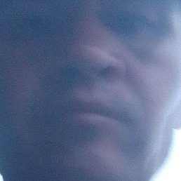 ���������� ������, �����-���������, 40 ���