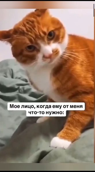 � ����� ������� �� �������� ������� ������ � ����� ������