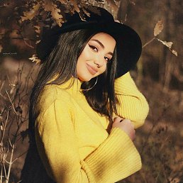 ���� �����, �����, 48 ��� - ��������� 12 ������ 2023