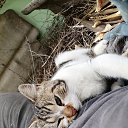 ���� ������, �����������, 46 ��� - ��������� 4 ���� 2024 � ������ ���� ����������