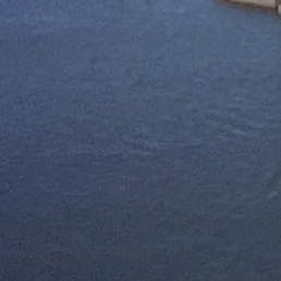 �����, ������������, 25 ���