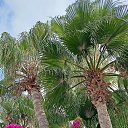 ���� Sov�, ������ - ��������� 8 ������ 2024 � ������ ���� ����������