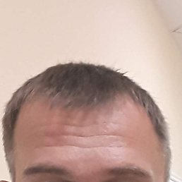 , 53, 