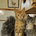 ���� ����, ������, 59 ��� - ��������� 12 ������ 2024 � ������ ���� ����������