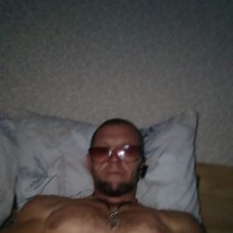 ����, 49 ���, ������