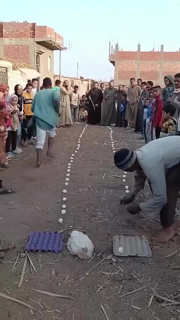 � ���� ���� �����-�� ������� � �� �� �������������