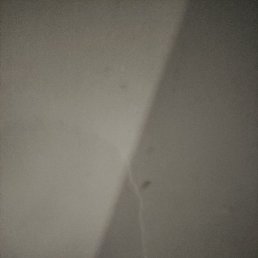 �����, ������, 38 ���