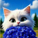 ���� Moonlight, ������� - ��������� 23 ��� 2026 � ������ ������ ��������
