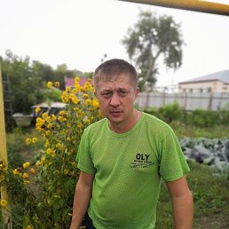 ���������, 36 ���, ��������