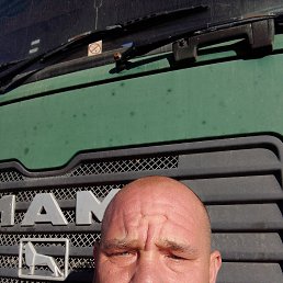 , 41, 
