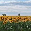 ���� ������, ���������, 55 ��� - ��������� 18 ������ 2023 � ������ ������ ��������