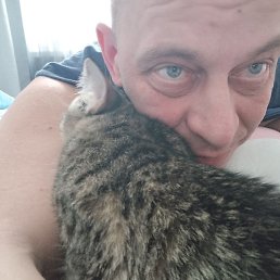 �������, �����-���������, 40 ���