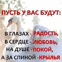 ���� ������ �������, ������, 64 ���� - ��������� 17 ���� 2026 � ������ ������ ��������