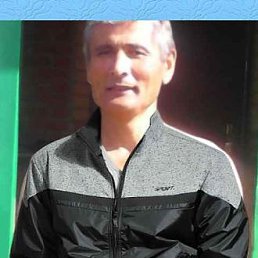 ����, 55 ���, ���������