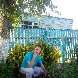 ������, ������, 53 ����