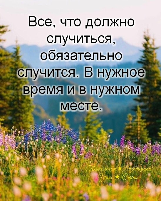 �������� ������ - 14 ���� 2026 � 16:34