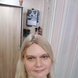 ���� ����, �����, 41 ��� - ��������� 2 ������� 2026