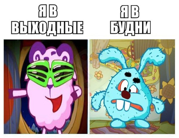 ? ,  ! - 17  2024  15:38