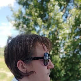 , 37, 