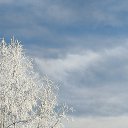 ���� �������, ���� - ��������� 19 ������� 2026 � ������ ���� ����������