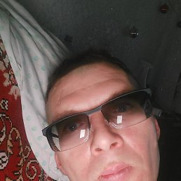 ��������, ����, 36 ���