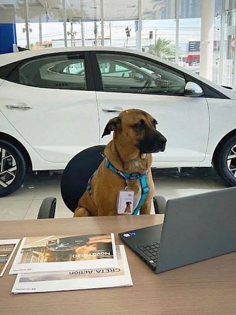 ������ ��� ������� ���������� ������ ������� �����. � ���������� Hyundai � ����������� ������ ����� ... - 2