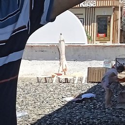 ���������, �������, 57 ���