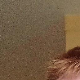 ����������, ������, 46 ���