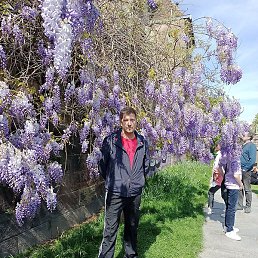 �������, �����-�����, 55 ���