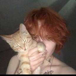 ���� ��, ������, 19 ��� - ��������� 8 ������ 2026