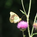 ���� ���������, ������ - ��������� 3 ���� 2024 � ������ ������ ��������