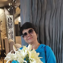 ���� �����, �������������, 56 ��� - ��������� 31 ����� 2026