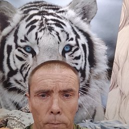  , 42, 