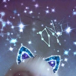 ������, ������, 38 ���