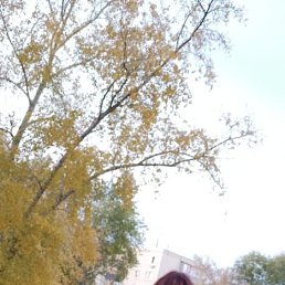 ���� �����, ���������, 45 ��� - ��������� 21 ������� 2025