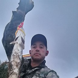 ���������, 40 ���, �����������