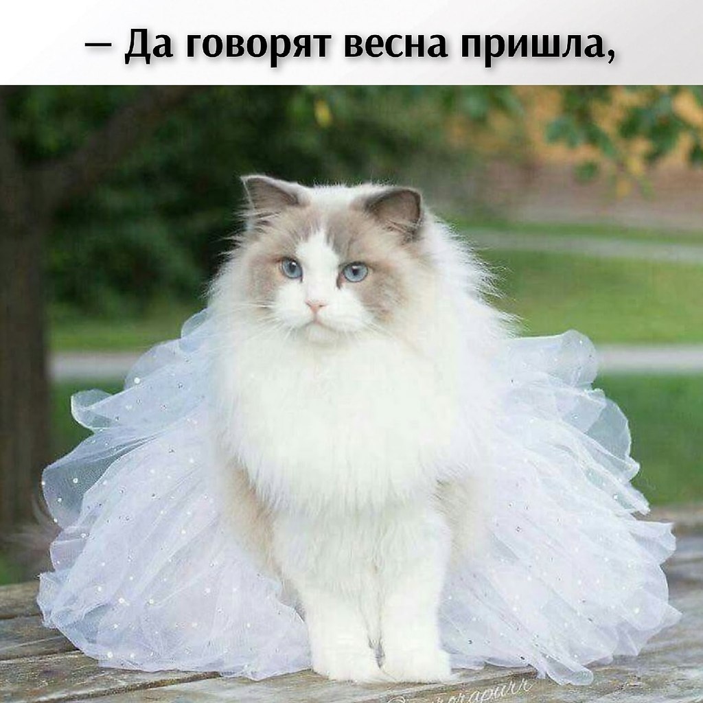 ��� ���� � ����� �� �� - 2 ����� 2026 � 17:30 - 2