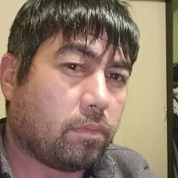 ����, �����-���������, 38 ���