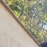 , 39 , 
