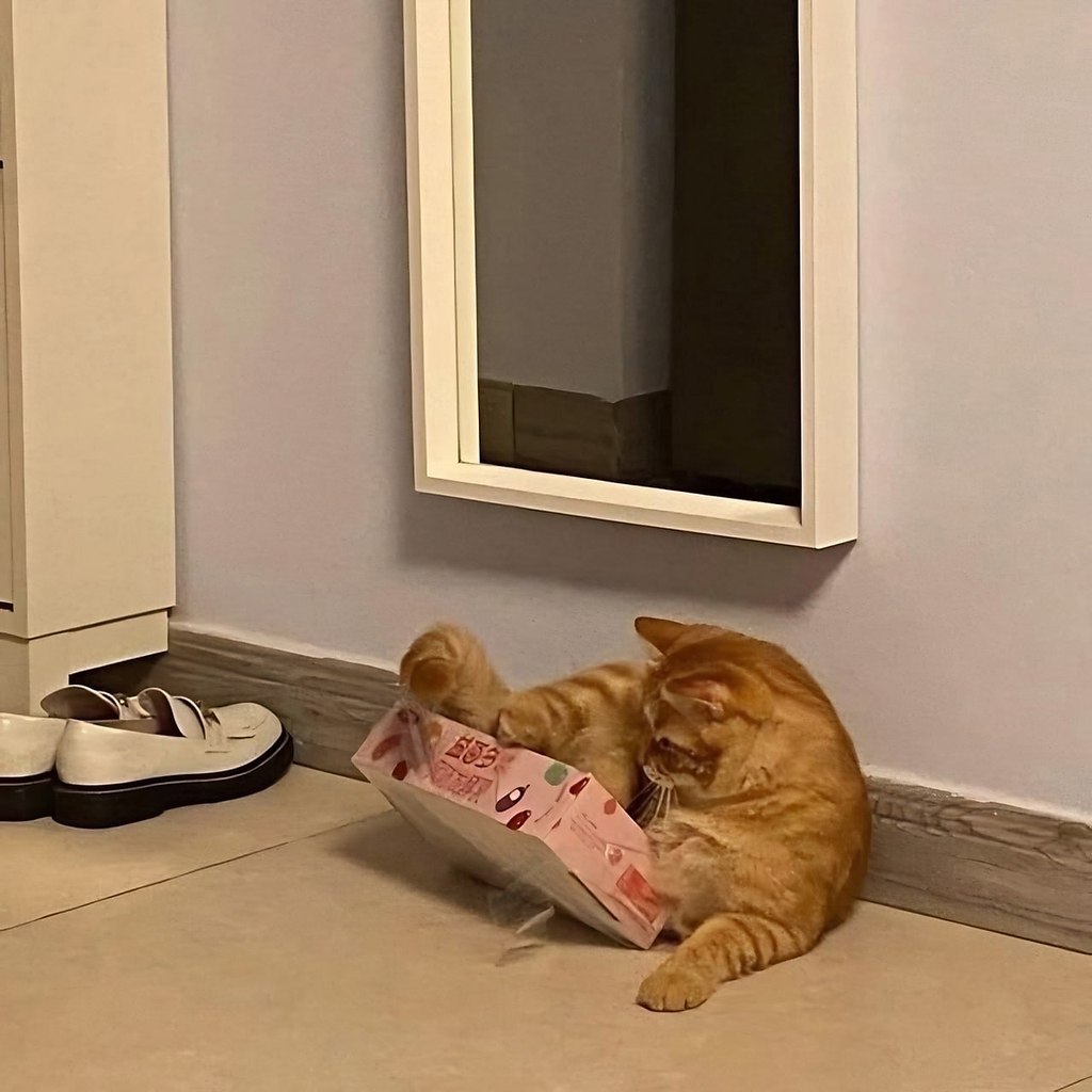 Когда купил себе однушку, живешь в ней и радуешься - 3