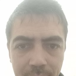 ���� �����, ��������, 41 ��� - ��������� 12 ������ 2023