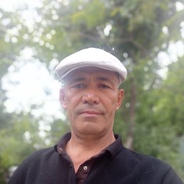 , 54, 