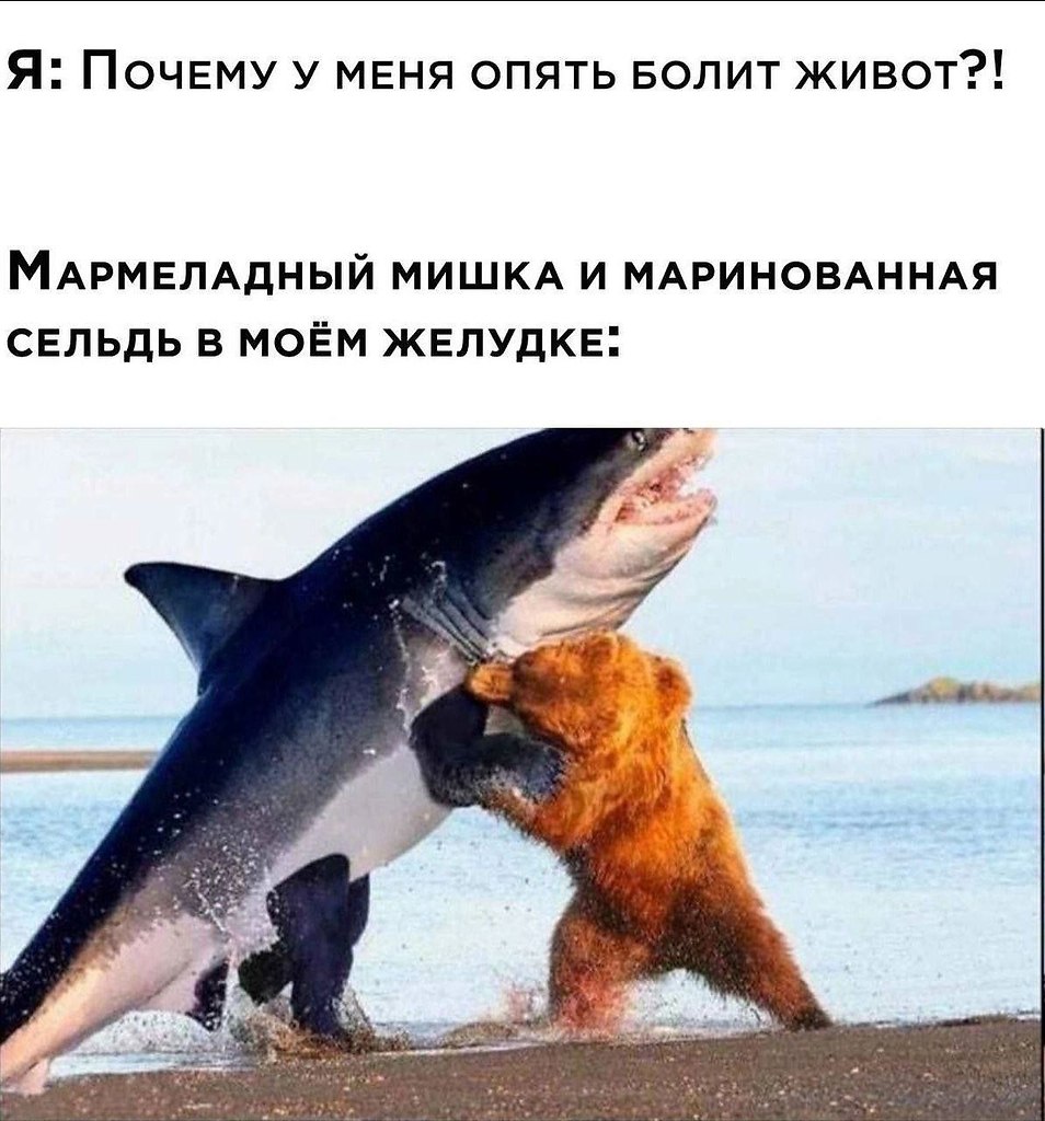    - 11  2023  04:30